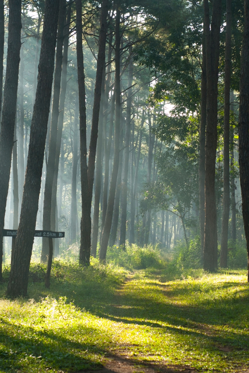 Video – When Should I Claim Social Security?